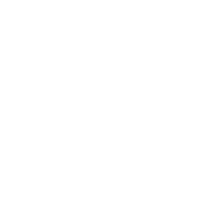 Visa logo.